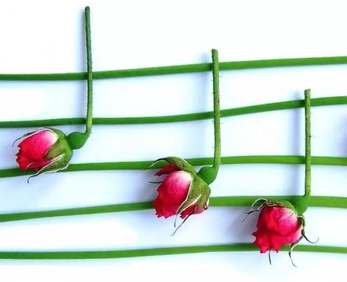 Музыкотерапия и магнитотерапия